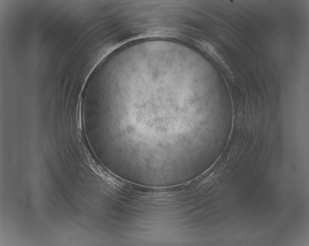 X0000051271276200507011735