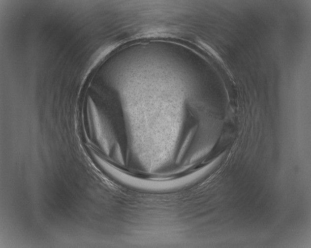 X0000051271277200507011735