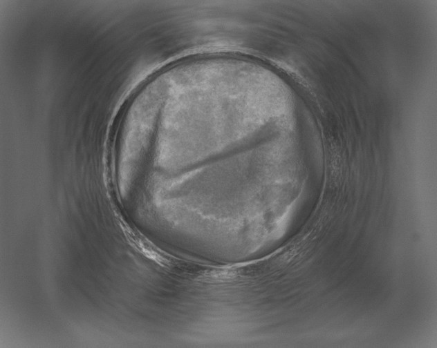 X0000051271278200507011735