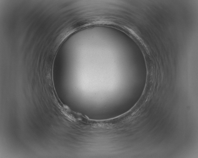 X0000051271281200507011735