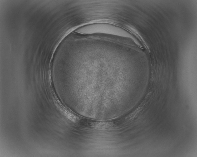 X0000051271284200507011735