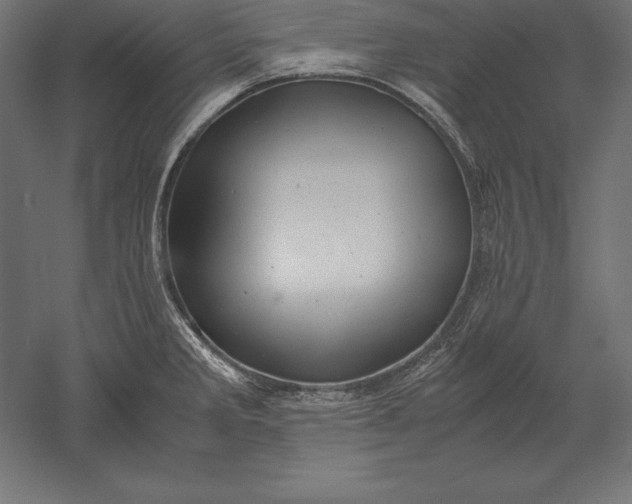 X0000051271285200507011735