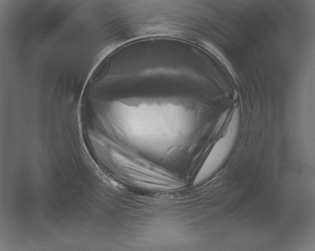 X0000051271291200507011735