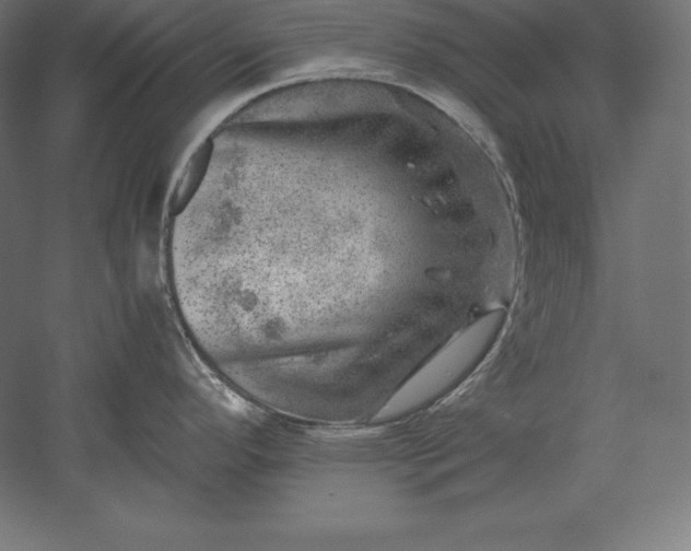 X0000051271296200507011735
