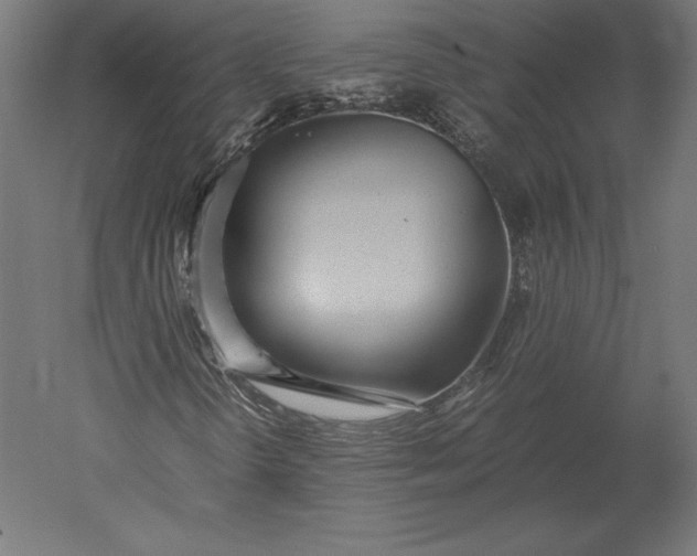 X0000051271298200507011734