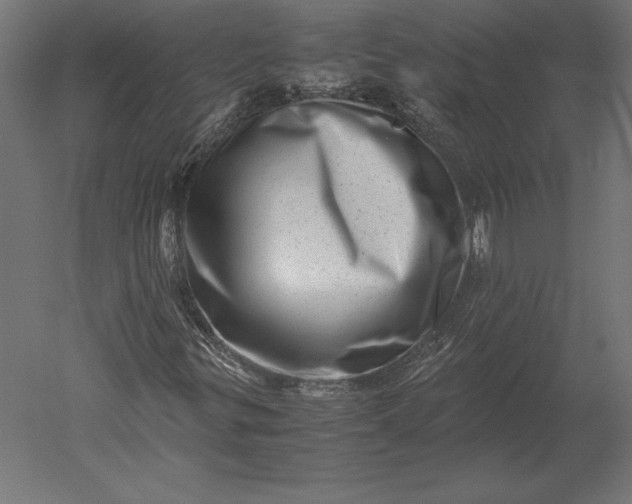 X0000051271299200507011734