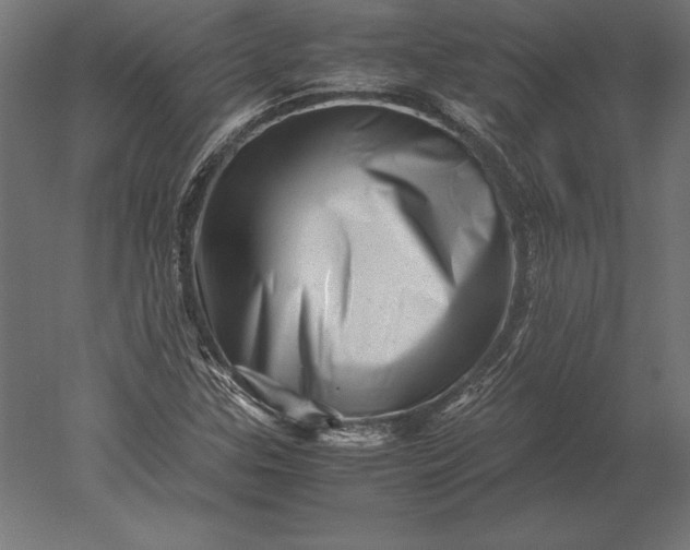 X0000051271307200507011734