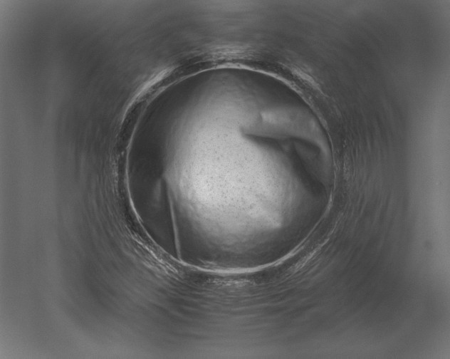 X0000051271309200507011734