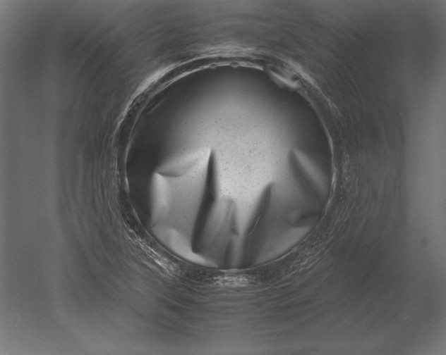 X0000051271315200507011734