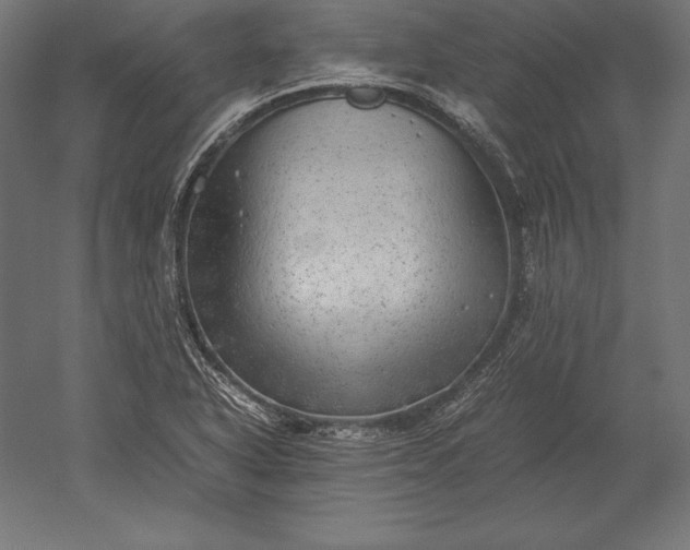 X0000051271318200507011734