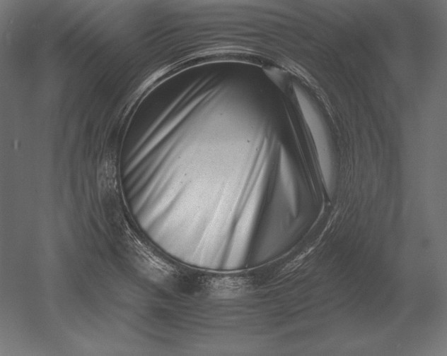 X0000051271321200507011734