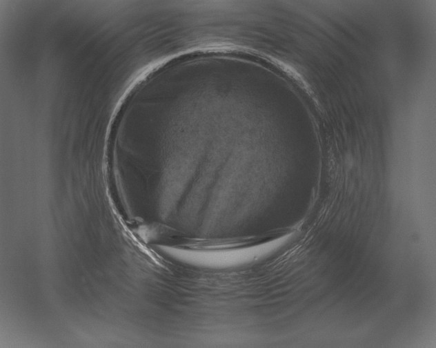 X0000051271327200507011734