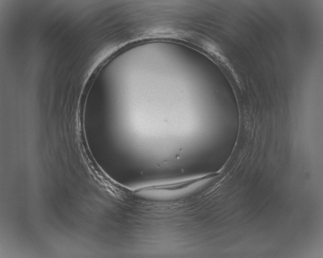 X0000051271328200507011734