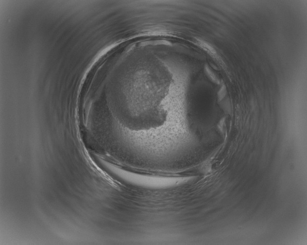 X0000051271331200507011735