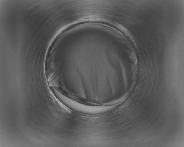 X0000051271334200507011735
