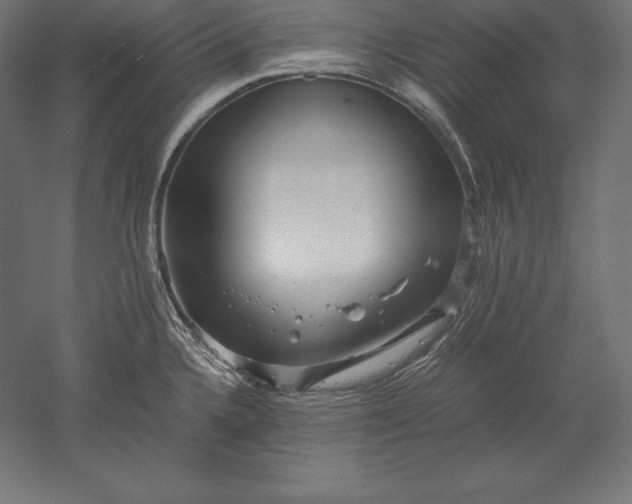 X0000051271336200507011735