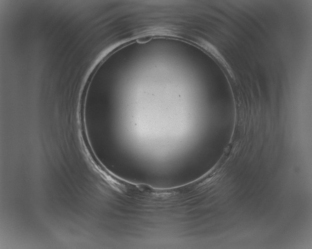 X0000051271339200507011735