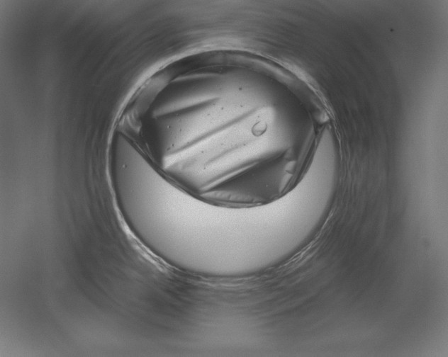 X0000051271342200507011735