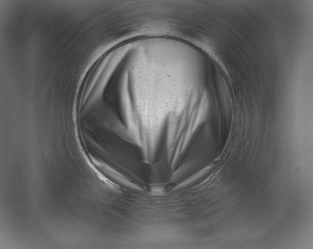 X0000051271343200507011735
