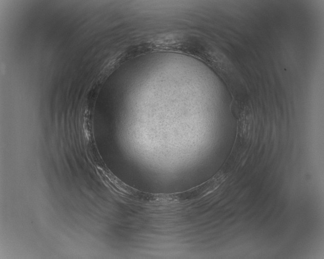 X0000051271346200507011734