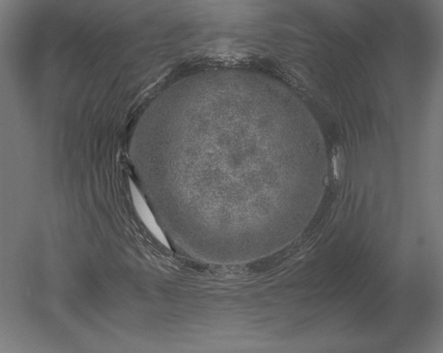 X0000051271347200507011734