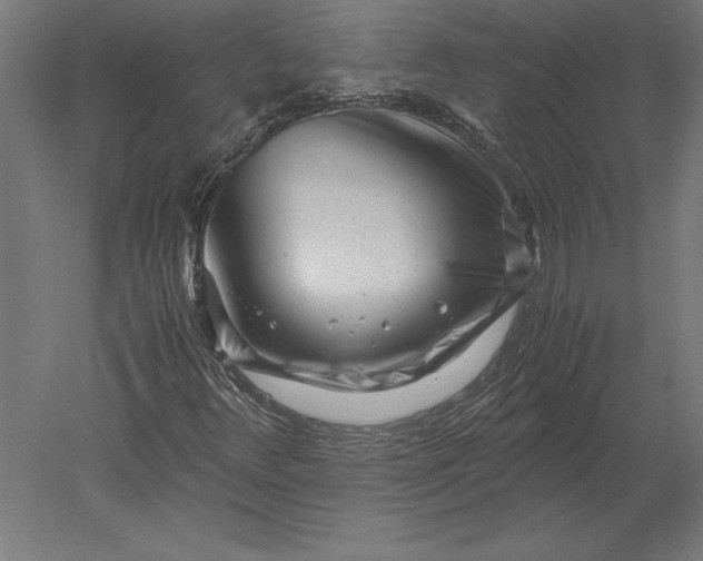 X0000051271348200507011734