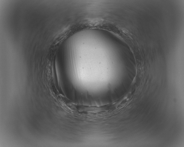 X0000051271349200507011734