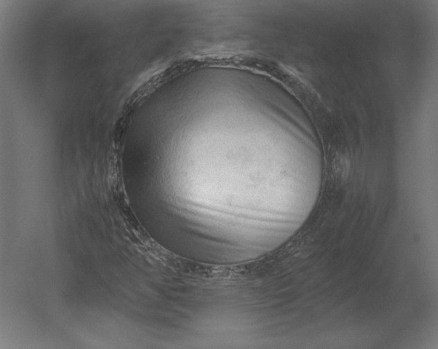 X0000051271350200507011734