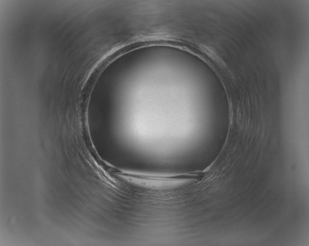 X0000051271356200507011734