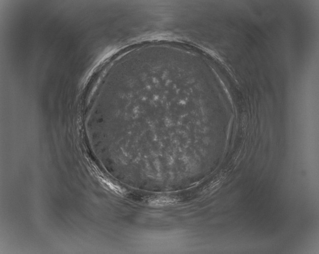 X0000051271359200507011734