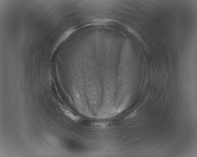 X0000051271362200507011734