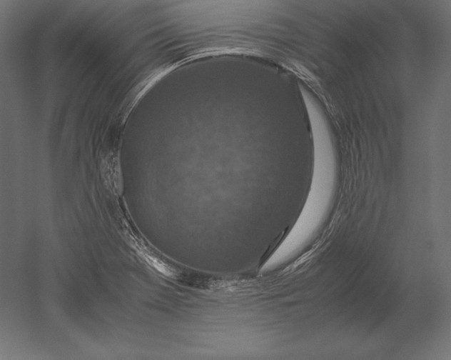 X0000051271369200507011734