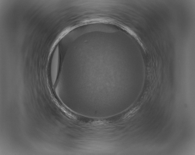 X0000051271373200507011733