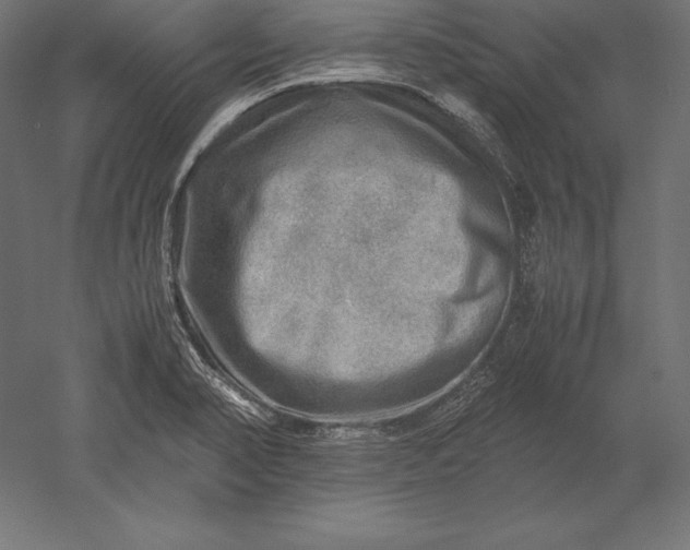 X0000051271374200507011733