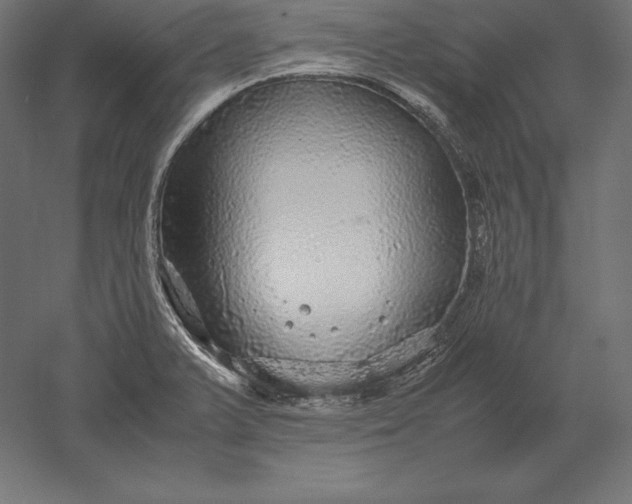 X0000051271375200507011733