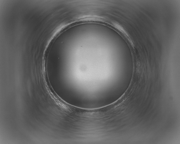 X0000051271376200507011733