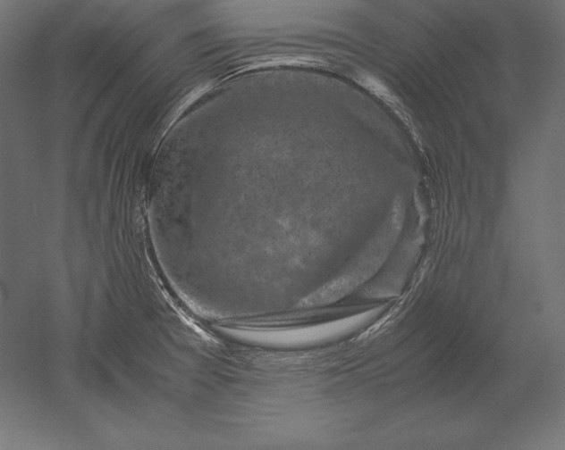 X0000051271377200507011733