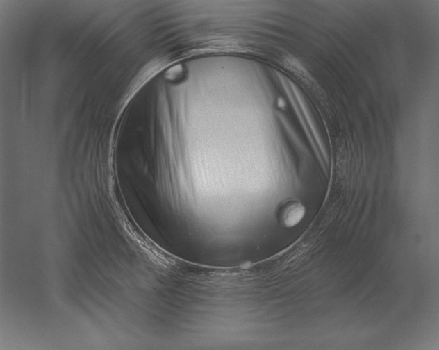 X0000051271378200507011733