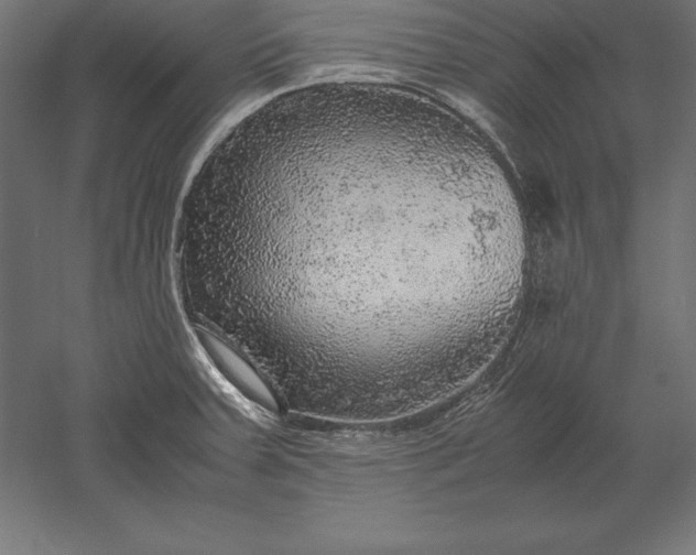 X0000051271379200507011733