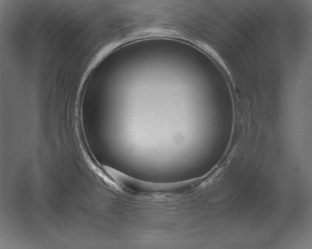 X0000051271381200507011733