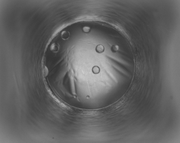 X0000051271382200507011733