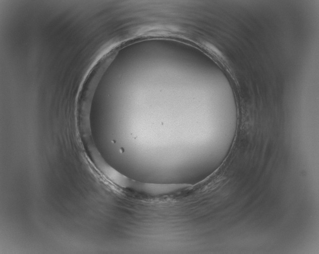 X0000051271384200507011733