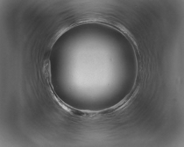 X0000051271385200507011733