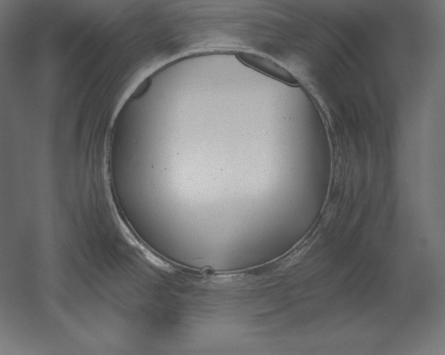 X0000051271390200507011733