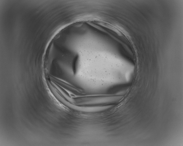 X0000051271392200507011733