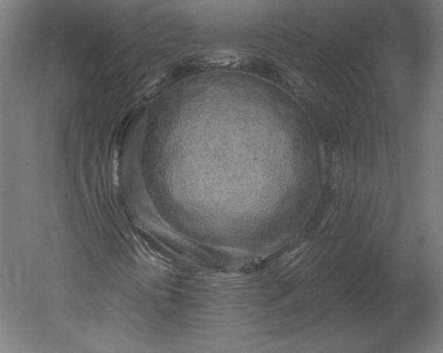 X0000051271394200507011732