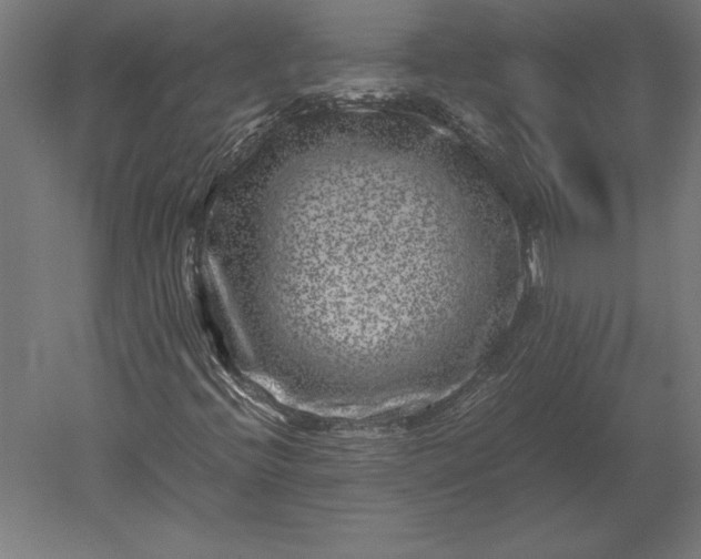 X0000051271396200507011732