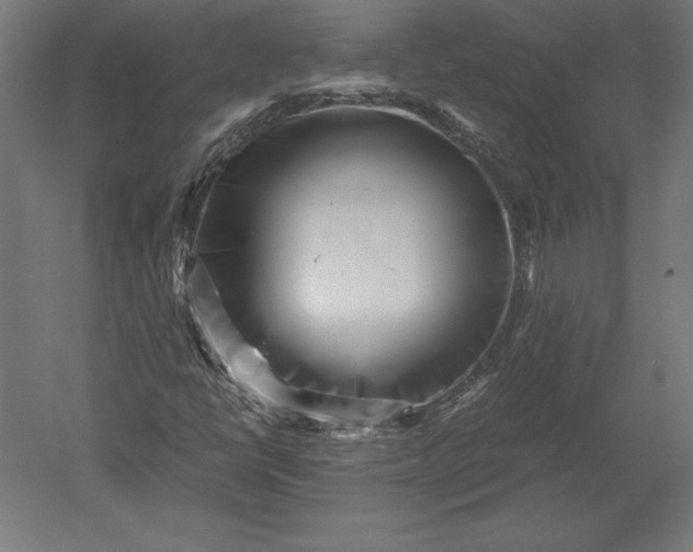X0000051271398200507011732