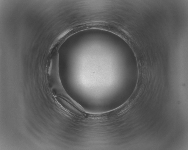 X0000051271402200507011732