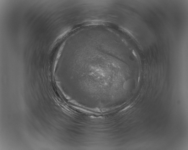 X0000051271403200507011733